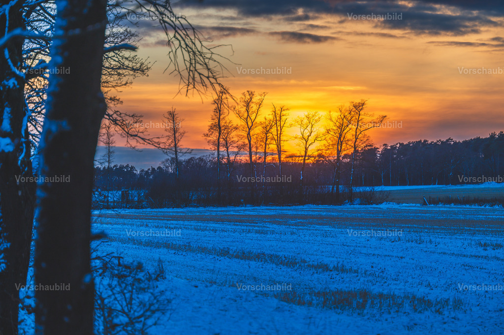 Fotoatelier Christian Hofmeister | Stadtlandschaften, sowie Makro-, Landschafts-, Natur- und Schwarzweißfotos aus der Region Celle &amp; Umgebung