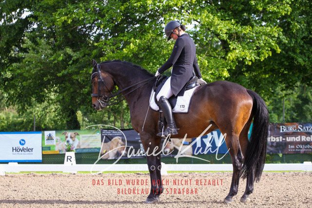 DKP41660 | Turnierfotos kaufen im Webshop von Daniel Kuhl Photography – entdecke professionelle Reitsportfotos aus Turnieren & Events. Hochwertige Turnierbilder online bestellen & sichern. Jetzt Fotos von Reitsportturnieren kaufen!
