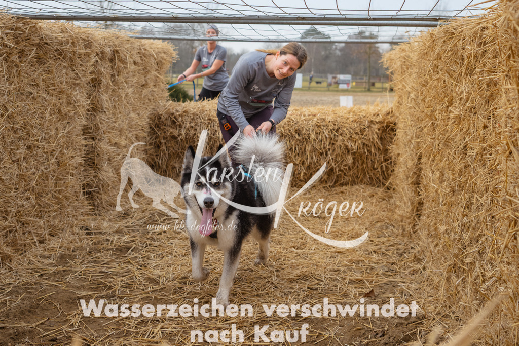 0857_ZZ95517 | kk-dogfotos