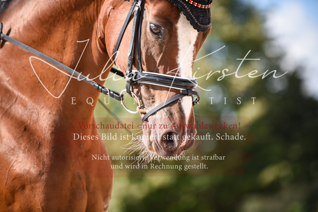 DSC_9469 | Pferde- und Turnierfotografie in Westsachsen. Pferdeportraits, Auftragszeichnungen und intuitive Kunst.