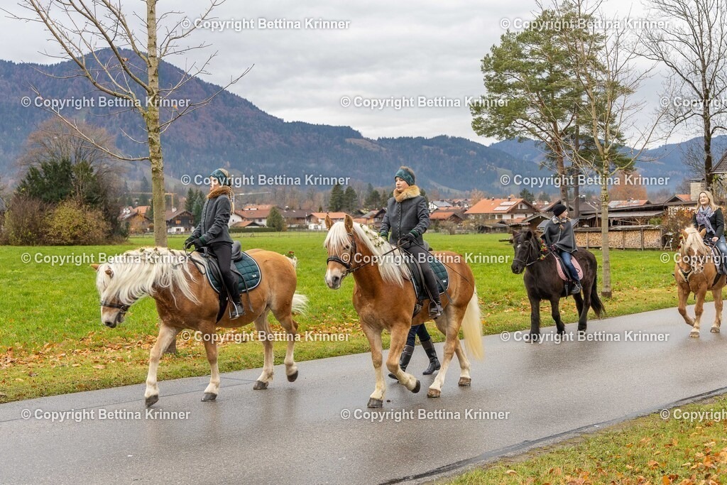 LL25-51 | foto-bettina-krinner - Realisiert mit Pictrs.com