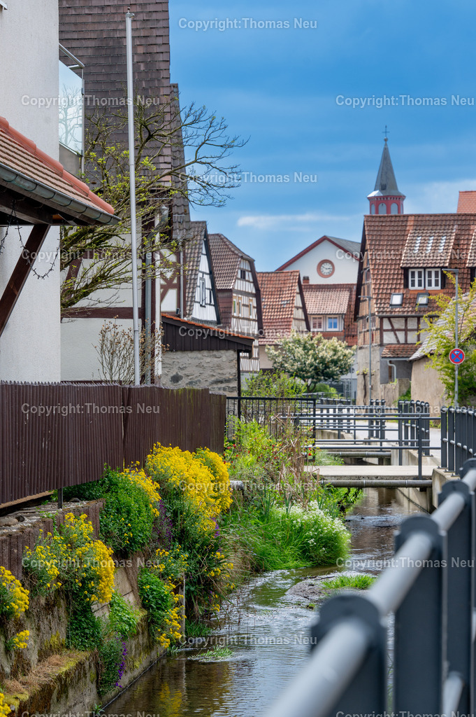 Dorfidylle-Gronau-Fruehling-meerbach-Bensheim-Fotografie-Thomas-Neu-32 | Malerisch schlängelt sich der Meerbach durch den Bensheimer Stadtteil Gronau, Fachwerkhäuser und die evangelische Kirche sind auf dem Bild zu sehen, ,Bild: THomas Neu