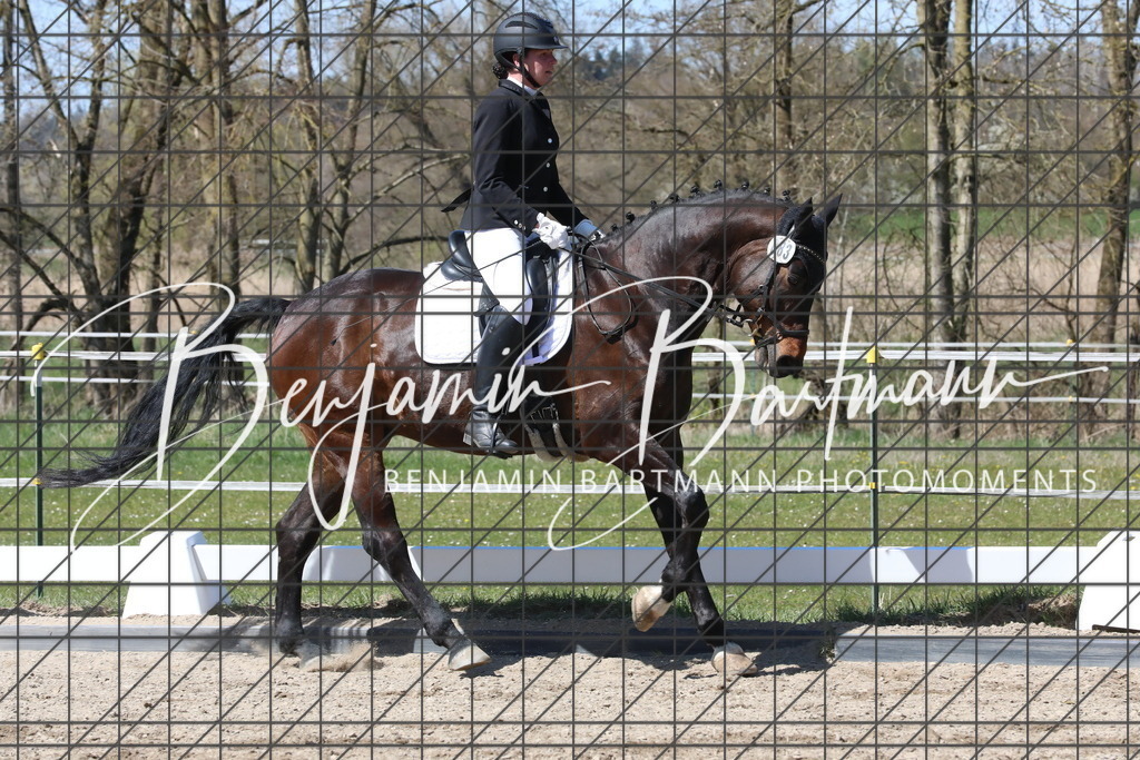 AZ2A4382 | Benjamin Bartmann Photomoments