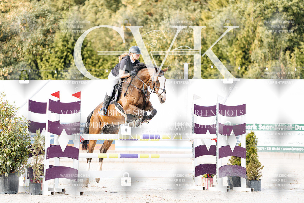 CK903243 | Turnierfotografie Pferdefotografie Trier Rheinland-Pfalz Pferdesport Reitsport Tierfotografie Sportfotografie Pferdevideo Pferdevideografie Equestrianvideography equestrianphotography  - Realisiert mit Pictrs.com