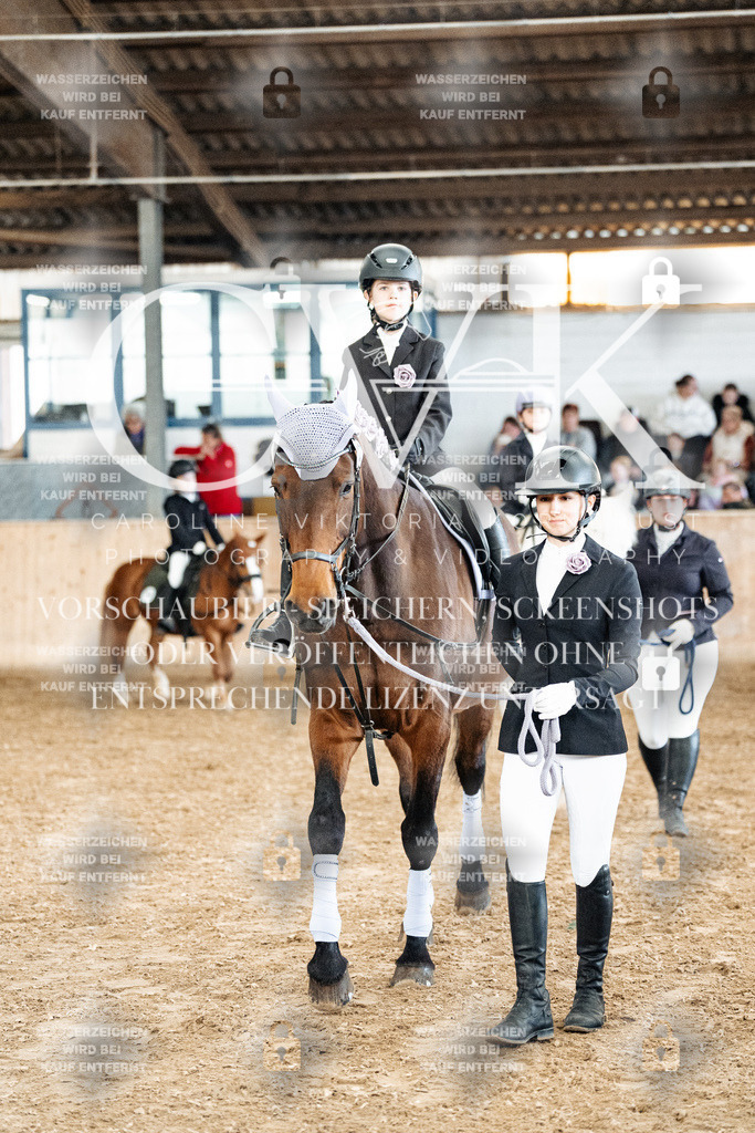 CK905643 | Turnierfotografie Pferdefotografie Trier Rheinland-Pfalz Pferdesport Reitsport Tierfotografie Sportfotografie Pferdevideo Pferdevideografie Equestrianvideography equestrianphotography  - Realized with Pictrs.com