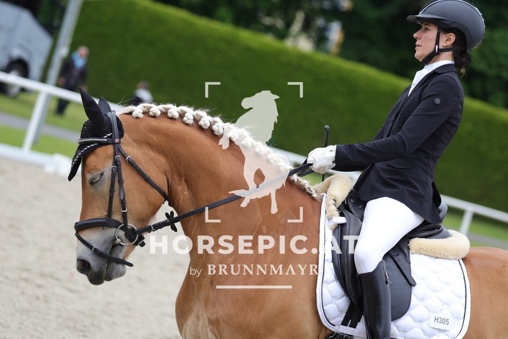 0P6A4387 | Willkommen bei Brunnmayr - Design & Fotografie – Ihrem Spezialisten für Reitturniere und Pferdeveranstaltungen in Oberösterreich, Salzburg und Bayern! Seit über 17 Jahren sind wir leidenschaftlich dabei.