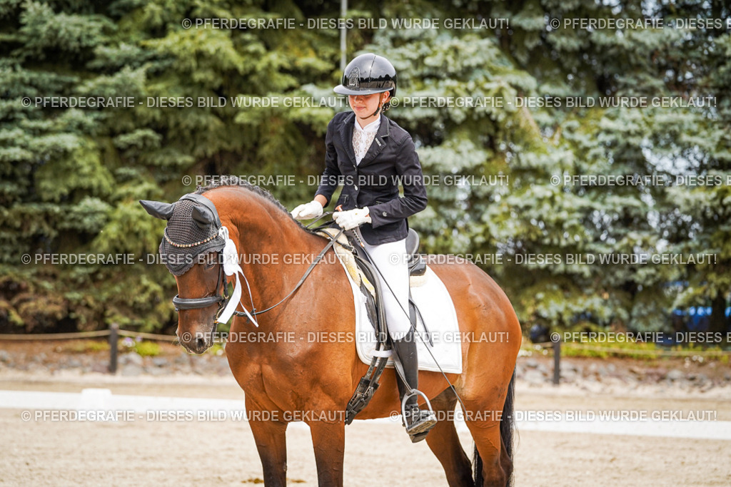 DSC04554 | Pferdegrafie