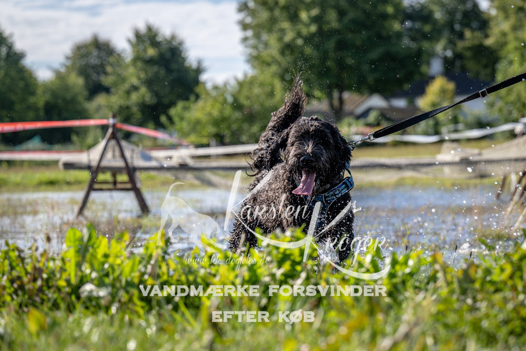 1027_ZZ90245 | kk-dogfotos