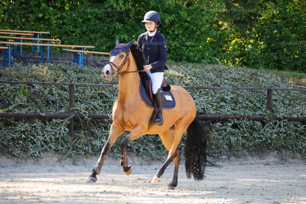 JHE_3829 | JoYa Fotografie - Realisiert mit Pictrs.com
