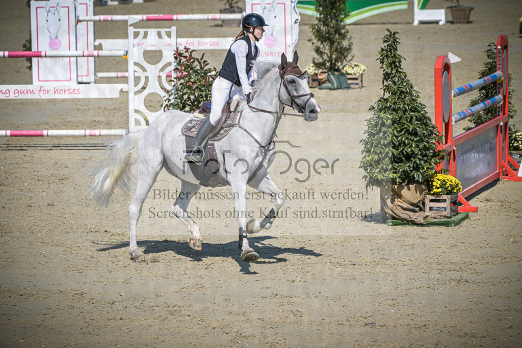 DOS_1533 | Entdecke hochwertige Reitturnierfotos von Foto Oger. Professionell, emotional und authentisch – jetzt Lieblingsmomente im Shop bestellen.Deutschlandweite Turnierfotografie. - Realisiert mit Pictrs.com
