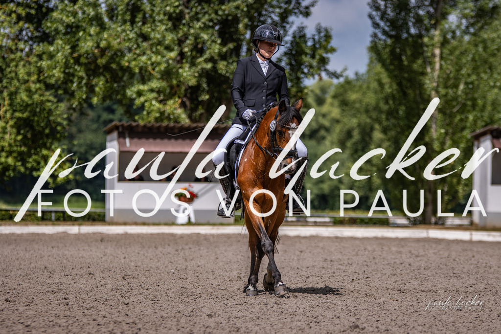 IMG_8161 | Erleben Sie dynamische Sport- und emotionale Tierfotografie in Süddeutschland mit Fotos von Paula. Spezialisiert auf Pferde- und Hundefotografie sowie Sportevents. Kontaktieren Sie mich für einzigartige und ausdrucksstarke Bilder Ihrer besonderen Momente.