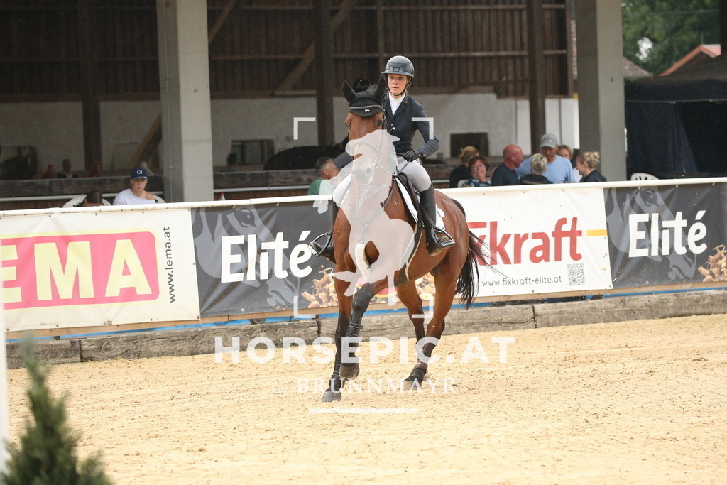 DL2Q6414 | Willkommen bei Brunnmayr - Design & Fotografie – Ihrem Spezialisten für Reitturniere und Pferdeveranstaltungen in Oberösterreich, Salzburg und Bayern! Seit über 17 Jahren sind wir leidenschaftlich dabei.