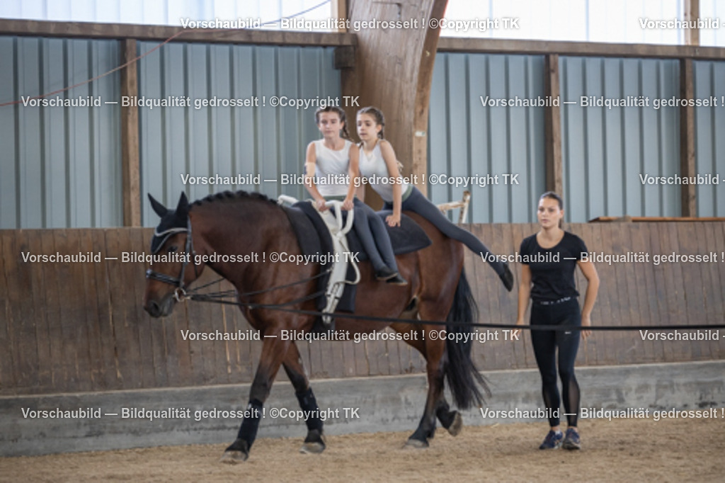 _D5A7133 | Emotionale Pferde- & People-Fotografie rund um Heidelberg, Leimen & Umgebung. Natürliche Fotos von Pferd, Mensch & Familie. Jetzt Termin sichern!