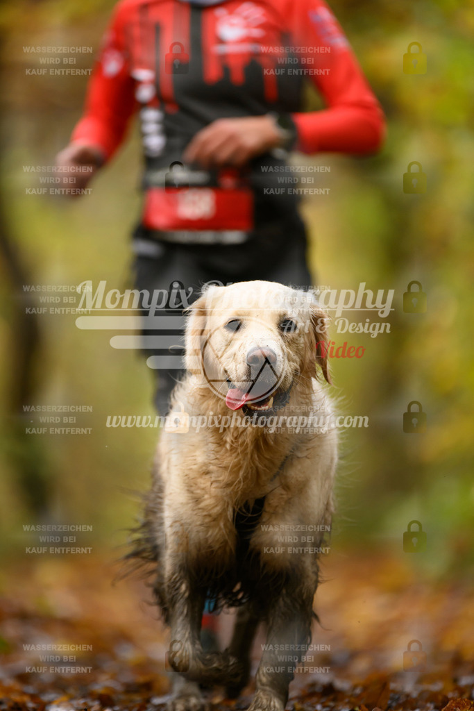 MompixPhotography_CD7S_DI_CCL-171 | mompixphotography