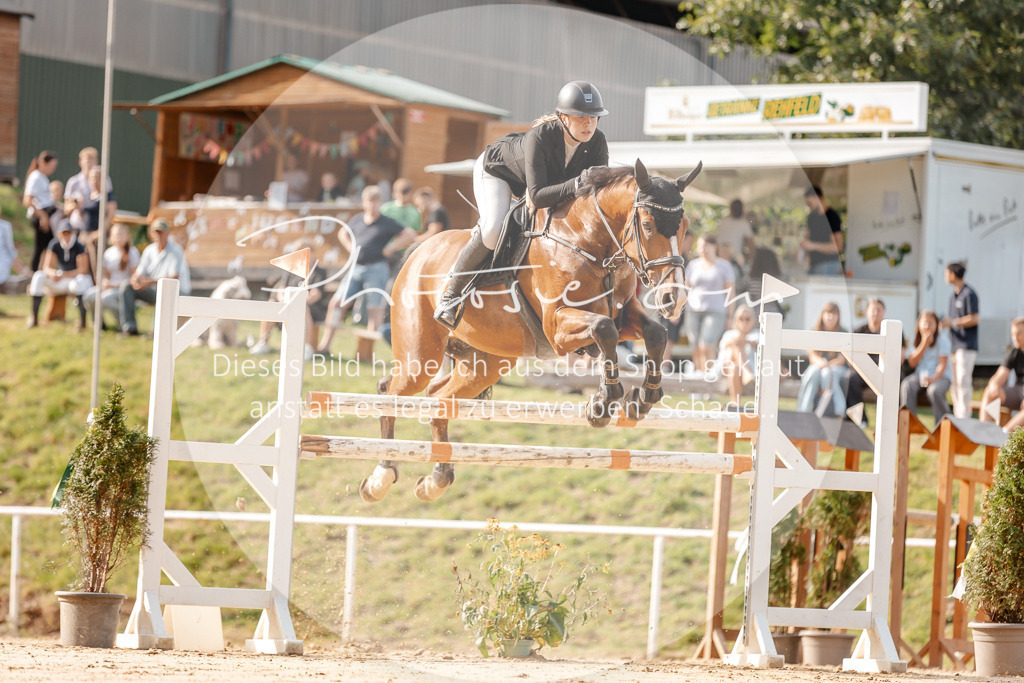 3I6A4787 | Stimmungsvolle Portraits und Reitsportfotografie im Ruhrgebiet und im Münsterland.

Pferdefotografie, Hundefotografie, Tierfotografie, Reportagen, Portraits von Tier und Mensch, Turnierfotografie in Bochum, Recklinghausen, Marl, Haltern am See, Dülmen.. - Realisiert mit Pictrs.com