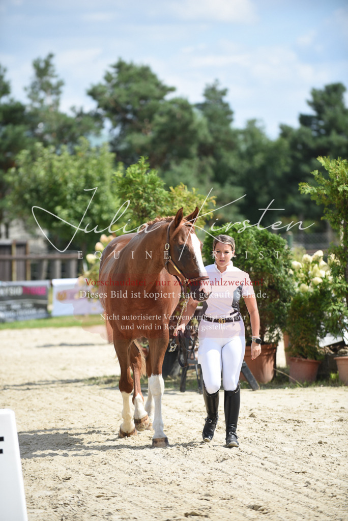 DSC_8988 | Pferde- und Turnierfotografie in Westsachsen. Pferdeportraits, Auftragszeichnungen und intuitive Kunst.