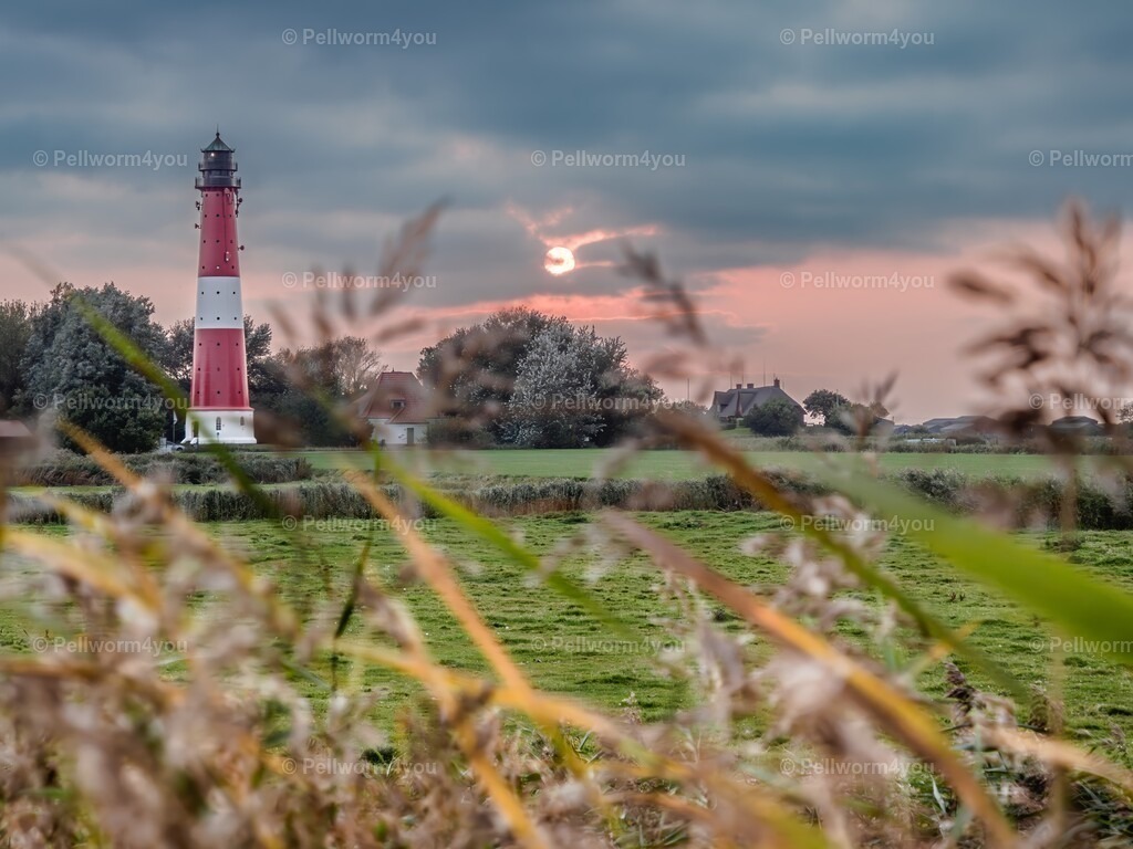 _9190511-Enhanced-NR-sharpen-denoise-upscale-2x | Pellwormer Bilder und Fotos als Poster, auf Leinwand mit Keilrahmen, hinter Acrylglas, auf Alu-Dibond oder Forex-Platte und vieles mehr. Zum verschenken, für die Ferienwohnung oder für zu Hause. - Realisiert mit Pictrs.com