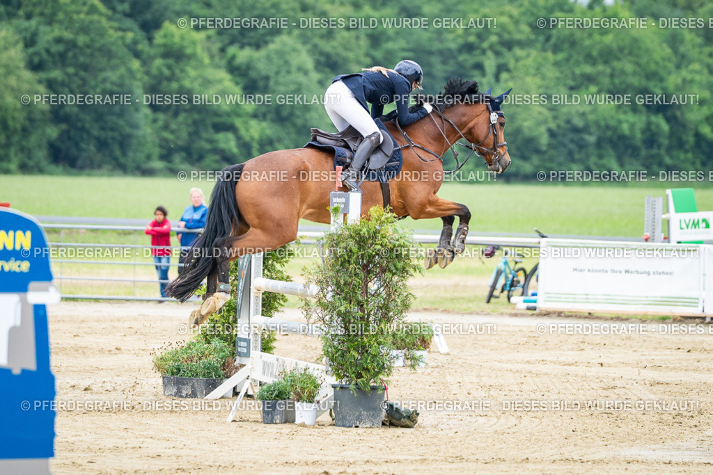 DSC03726 | Pferdegrafie