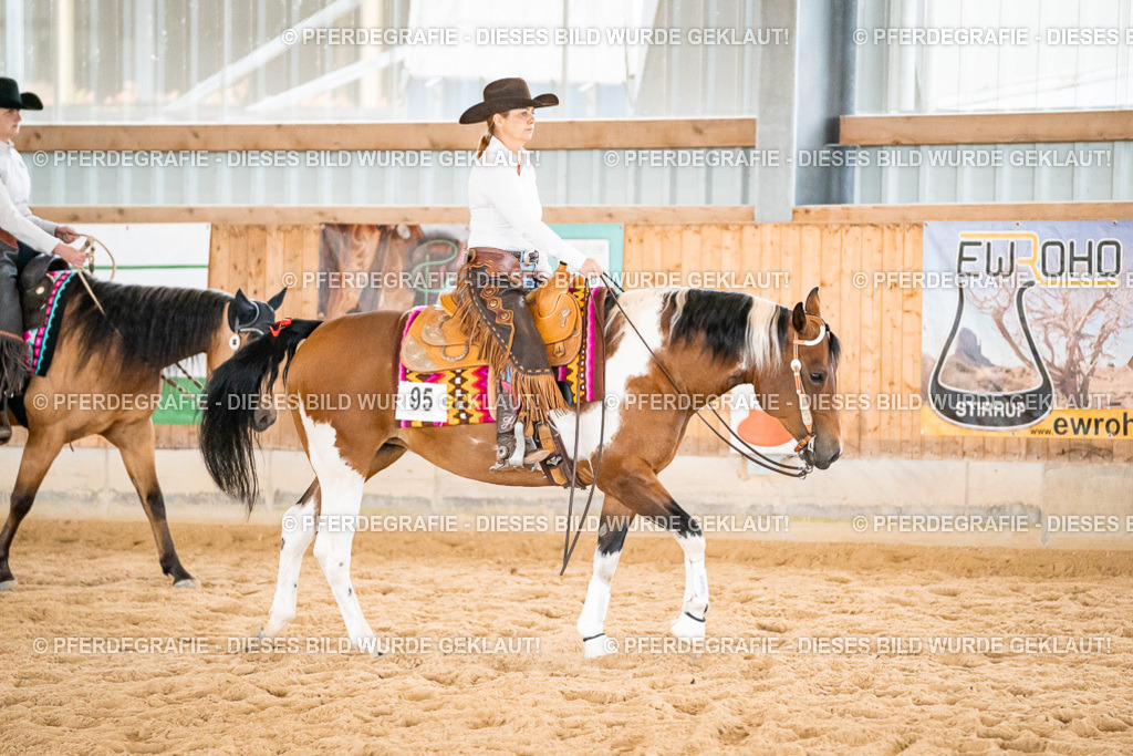 DSC01018 | Pferdegrafie