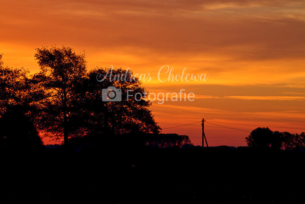 Scherenschnitt | Der Onlineshop für malerische Fotografien aus dem Landkreis Vechta✅ Premium Druck auf Leinwand✅ Acryl✅ oder Alu-Dibond✅➤Jetzt Bestellen! - Realisiert mit Pictrs.com