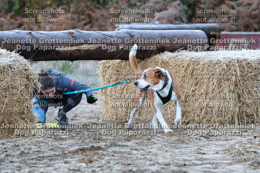 Dog Paparazzi - Strongdog 10-25-76 | Dog Paparazzi Jeanette Grottendiek Fotografie & Videografie - Realisiert mit Pictrs.com