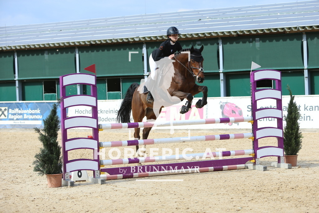 DL2Q9843 | Willkommen bei Brunnmayr - Design & Fotografie – Ihrem Spezialisten für Reitturniere und Pferdeveranstaltungen in Oberösterreich, Salzburg und Bayern! Seit über 17 Jahren sind wir leidenschaftlich dabei.