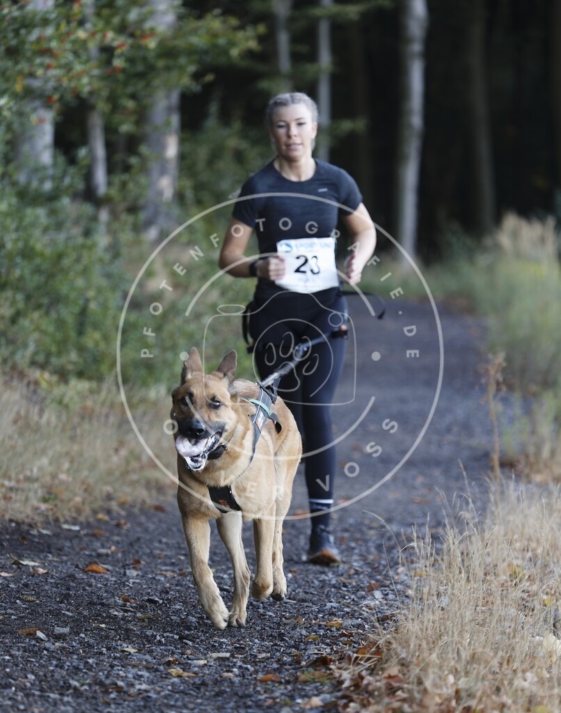 0L8A1501 | Hundefotografie, Tierfotograf, Pfotenfotografie, Fotoshooting Hund, Hunde Portrait, Hundesport, Hundeportraits, Heideshooting, Hunde, Sportfotograf, Hundefotograf, Turnierhundsport, THS,  - Realisiert mit Pictrs.com