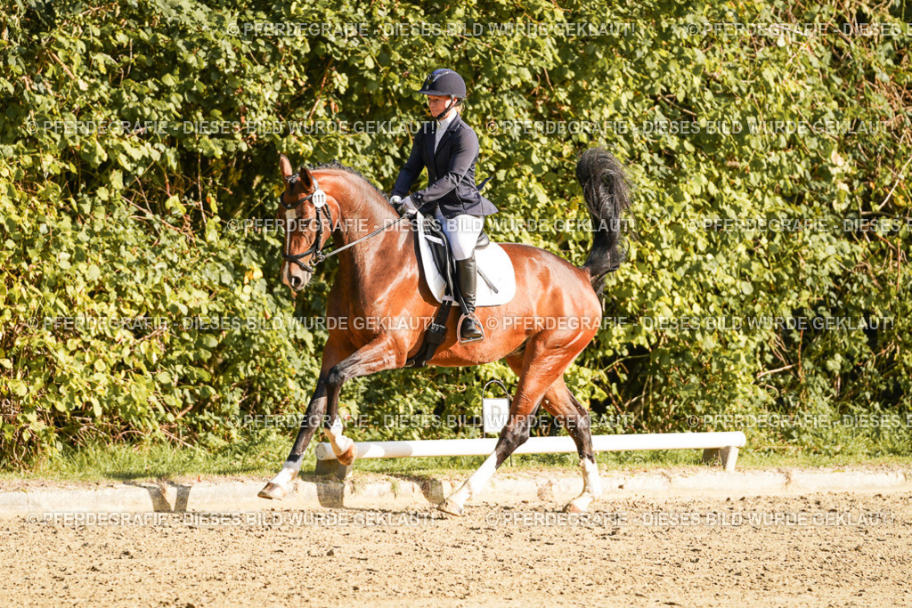 DSC05472 | Pferdegrafie