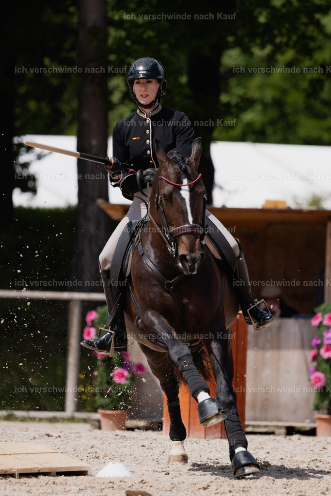 PI26_SP_StoibphotographyC2_C3501.CR3 | working equitationturnier fotograf videograf stoibphotography marixx film working equitation deutschland reitsport turnierfotografie eventfotografie equestrian events