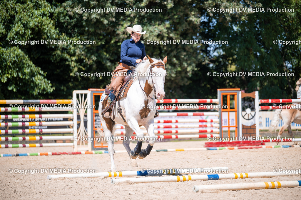 ZS1_1386 | dv-media-shop - Realisiert mit Pictrs.com