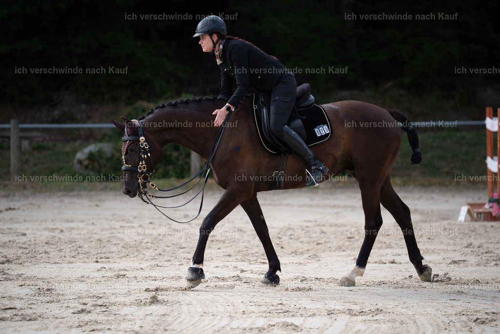 WL_ST_25_stoibphotography__SO10398 | working equitationturnier fotograf videograf stoibphotography marixx film working equitation deutschland reitsport turnierfotografie eventfotografie equestrian events