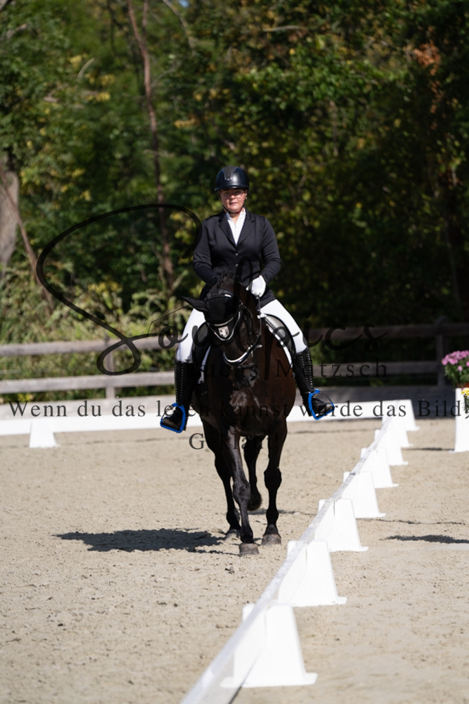 A7V07081 | Turnier/Reitfotograf