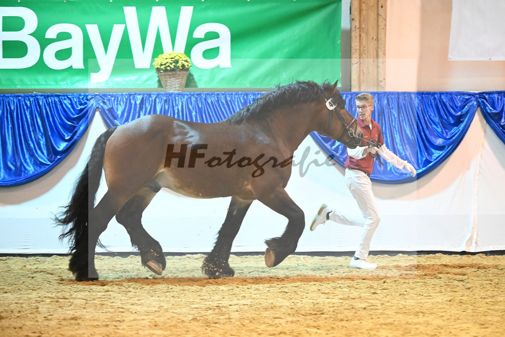 Kat-Nr. 41 Heidjer II_Kaufmann_53221243 | hf-fotografie - Realizzato con Pictrs.com