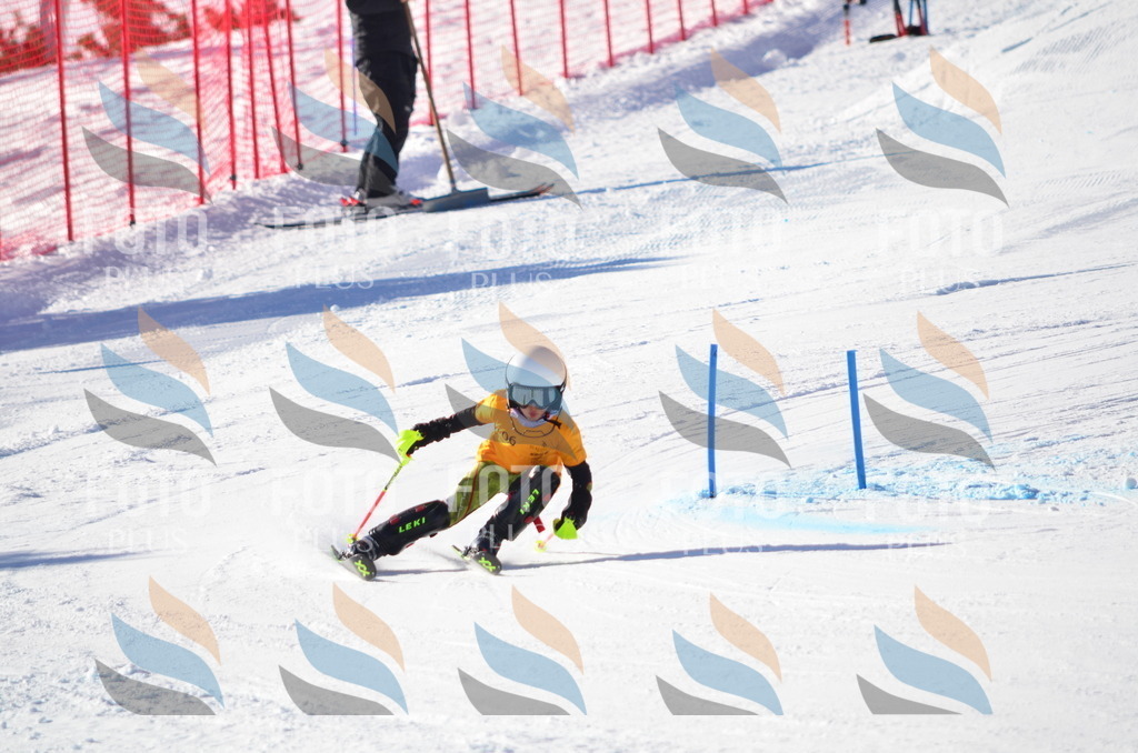 C6228 | holidayphoto