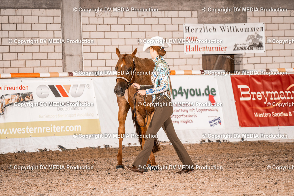 ZH100017 | dv-media-shop - Realisiert mit Pictrs.com