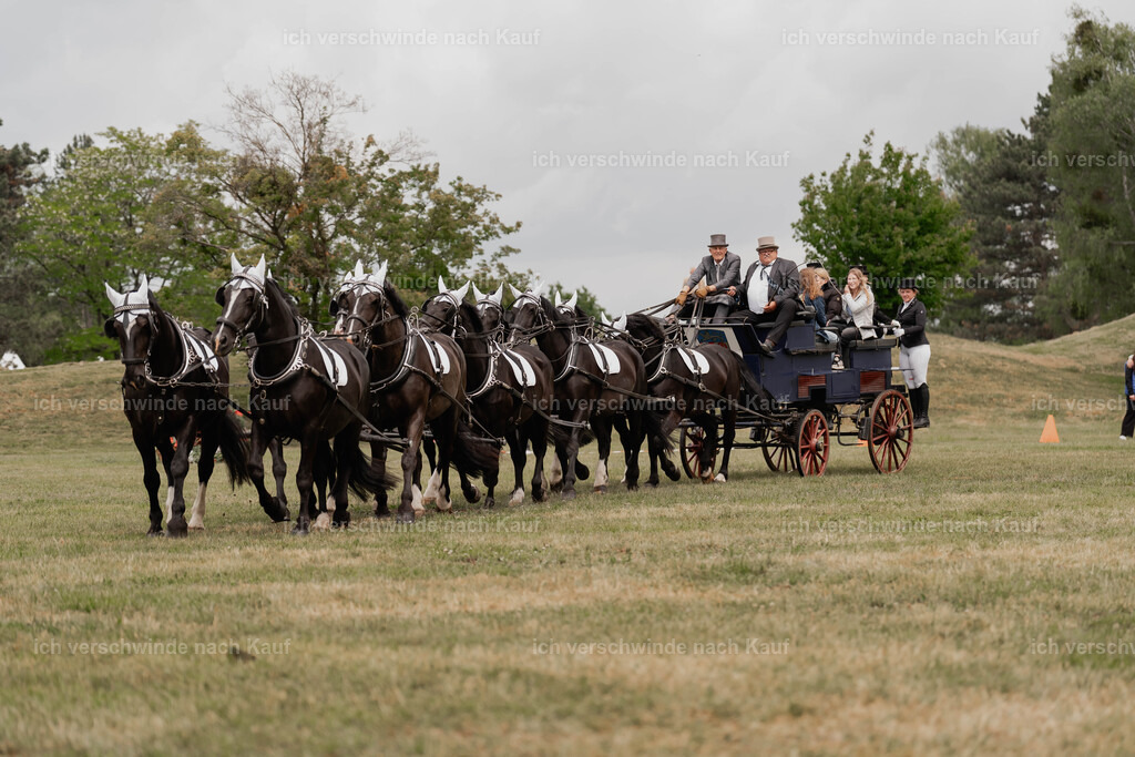 Showprogramm-133 | working equitationturnier fotograf videograf stoibphotography marixx film working equitation deutschland reitsport turnierfotografie eventfotografie equestrian events