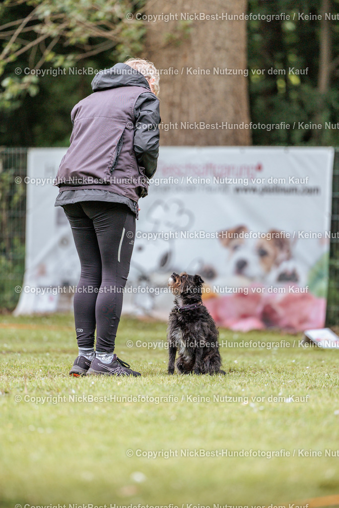 RO-Blumenthal-2026-Nickbest-Hundefotografie-2413 | Dein Hund! Dein Moment! Deine Erinnerungen! Hundefotografie in Bremen Blumenthal. Ich fange die besonderen Momente deines Vierbeiners ein – ob Indoor mit Blitzanlage oder in der freien Natur. Sicher dir dein Moment und dein Termin für eure Erinnerungen.