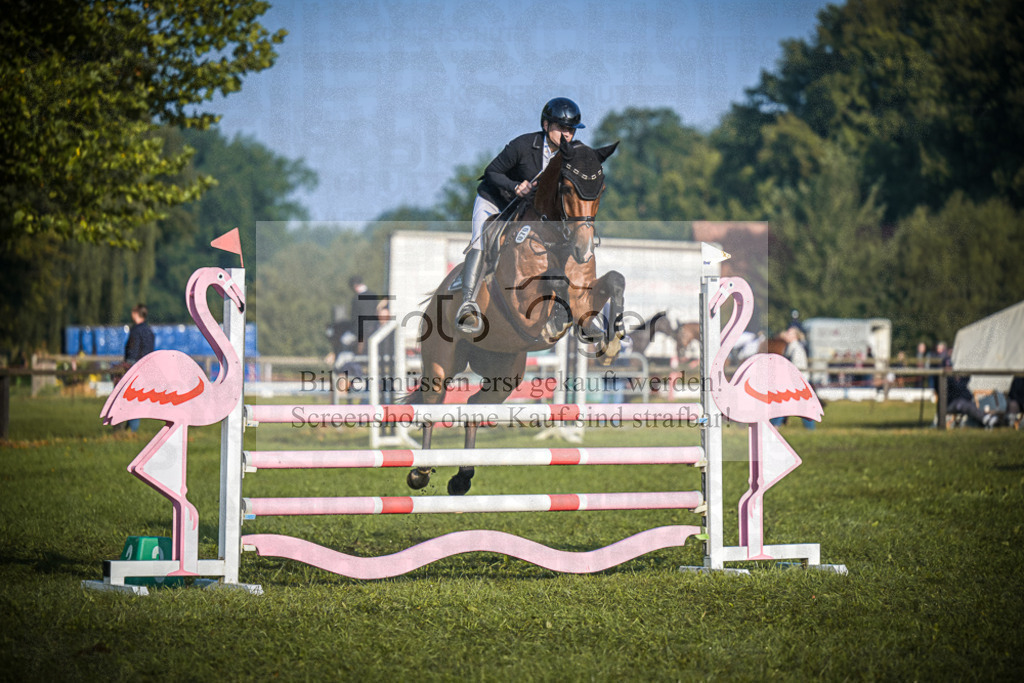 DOS_0575 | Entdecke hochwertige Reitturnierfotos von Foto Oger. Professionell, emotional und authentisch – jetzt Lieblingsmomente im Shop bestellen.Deutschlandweite Turnierfotografie. - Realisiert mit Pictrs.com