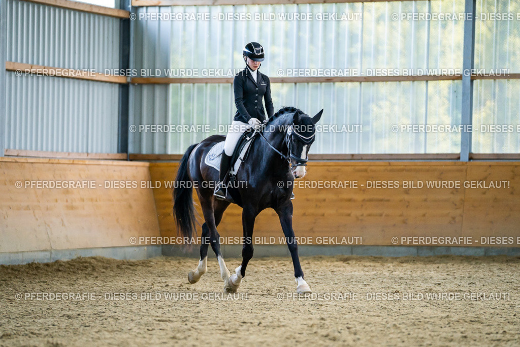 DSC05796 | Pferdegrafie