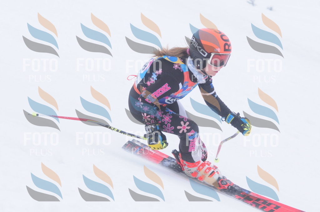 C2767 | holidayphoto