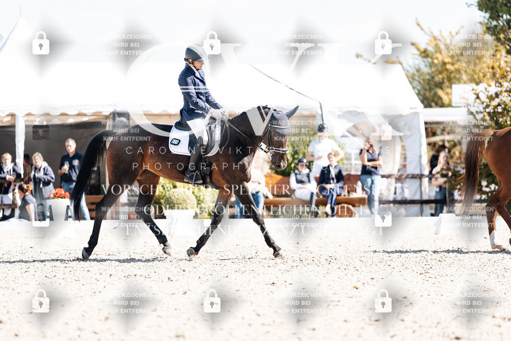 CK903366 | Turnierfotografie Pferdefotografie Trier Rheinland-Pfalz Pferdesport Reitsport Tierfotografie Sportfotografie Pferdevideo Pferdevideografie Equestrianvideography equestrianphotography  - Realisiert mit Pictrs.com