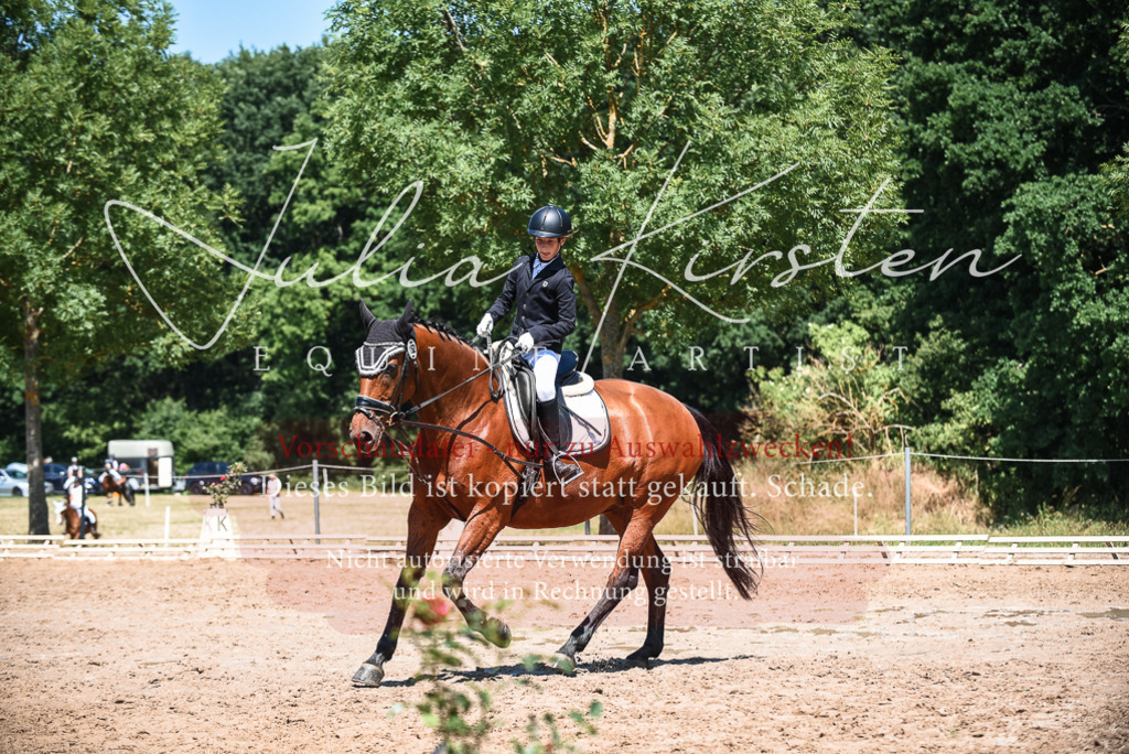 DSC_2972 | Pferde- und Turnierfotografie in Westsachsen. Pferdeportraits, Auftragszeichnungen und intuitive Kunst.