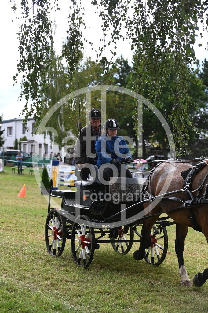 DSC_9050 | sattelsport - Realisiert mit Pictrs.com