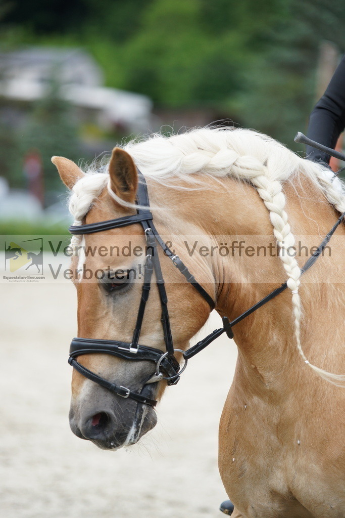 DSC05453 | equestrian-live-com