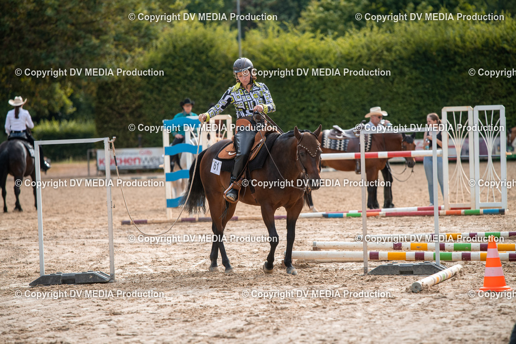 ZS3_9196 | dv-media-shop - Realisiert mit Pictrs.com