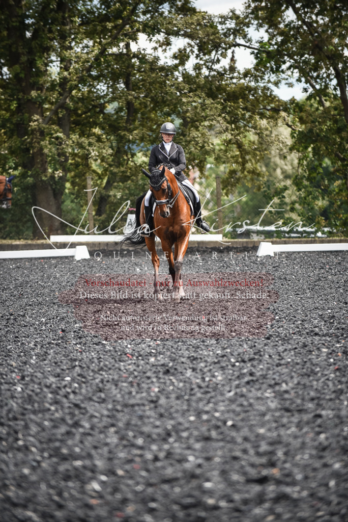 DSC_4984 | Pferde- und Turnierfotografie in Westsachsen. Pferdeportraits, Auftragszeichnungen und intuitive Kunst.