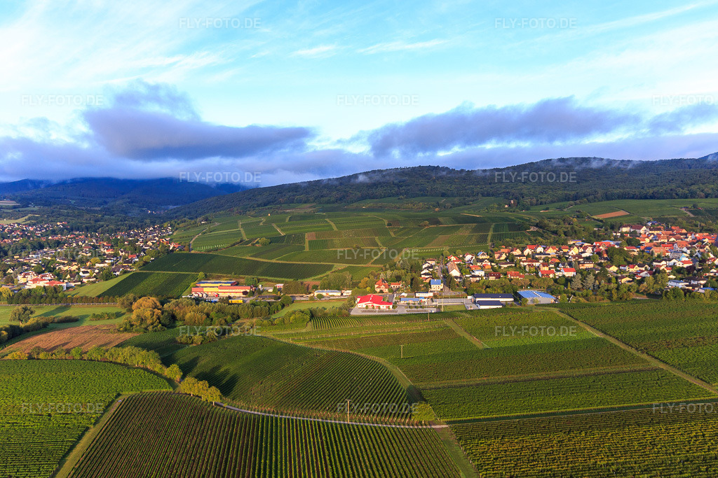 Luftbild: Tabakladen Zollheisel GmbH, PENNY und dm-drogerie markt am ehemaligen Grenzübergang im Ortsteil Schweigen in Schweigen-Rechtenbach im Bundesland Rheinland-Pfalz in Deutschland. Foto: IMG_103269.jpg vom 10.09.2017 durch Werner Riehm/FLY-FOTO.deZOLLHEISEL.COM