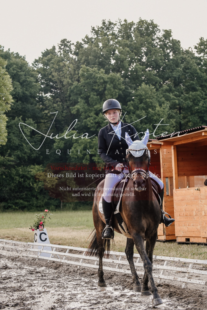 DSC_8141 | Pferde- und Turnierfotografie in Westsachsen. Pferdeportraits, Auftragszeichnungen und intuitive Kunst.