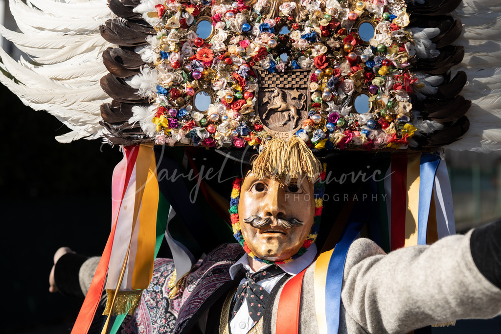 Rumer Muller | Umzug der Rumer Muller 2023