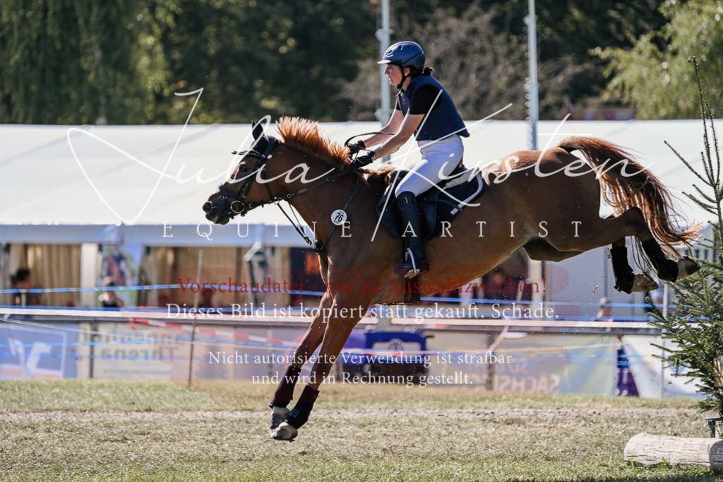 DSC_3082 | Pferde- und Turnierfotografie in Westsachsen. Pferdeportraits, Auftragszeichnungen und intuitive Kunst.